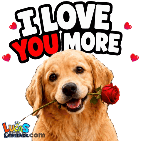 Dog With Rose Saying I Love You More GIF