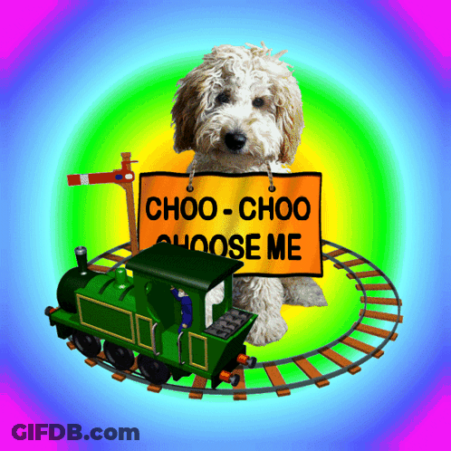 Dog With Sign Saying Choo Choo Choose Me GIF