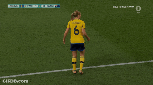 Dog With Soccer Ball And Sweden Flag GIF