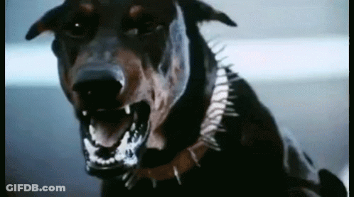 Dog With Spiky Collar GIF