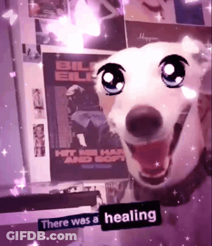 Dog With Sticker Saying There Was A Healing GIF