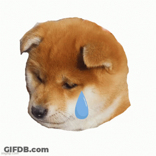 Dog With Tear Coming Out Of Eye GIF