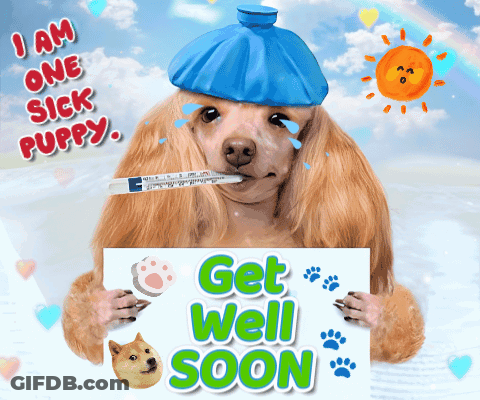 Dog With Thermometer Holding Get Well Soon Sign GIF
