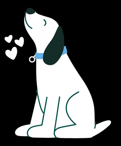 Dog With Three Small White Hearts Love GIF
