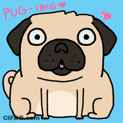 Dog With Tongue Poking Out Love GIF