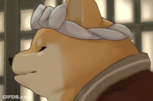 Dog With Towel On Head Looking Sideways GIF