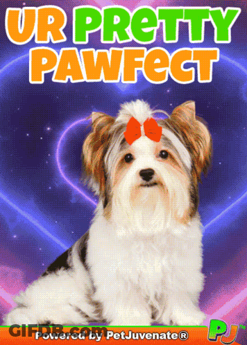 Dog With Ur Pretty Pawfect GIF