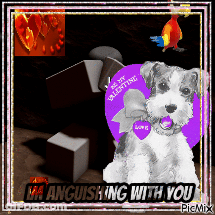 Dog With Valentine Card Saying Be My Valentine GIF