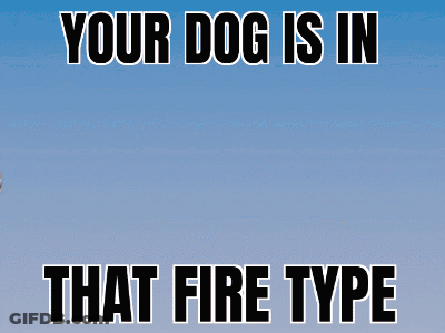 Dog With Wings Saying Your Dog Is In That Fire GIF