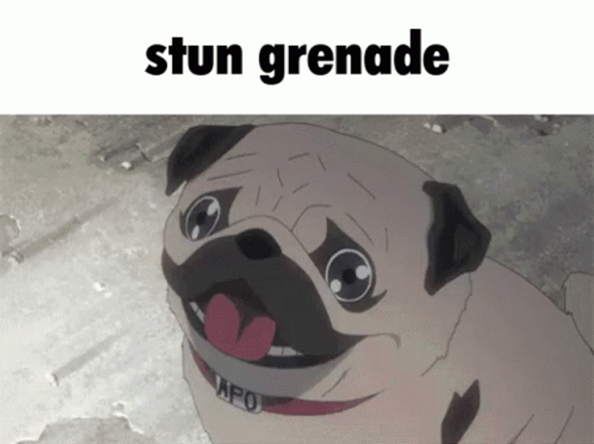 Dog Witnessing Grenade Flashbang GIF