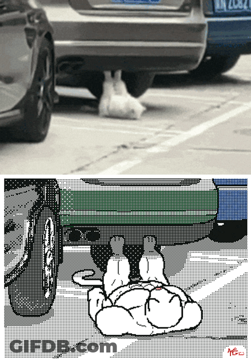 Dog Work Out Car's Rear Bumper GIF