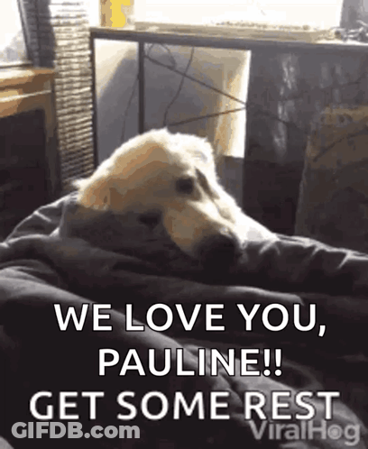 Dog Wrapped In Blanket Saying We Love You Pauline GIF