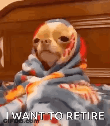 Dog Wrapped In Blanket Says I Want To Retire GIF