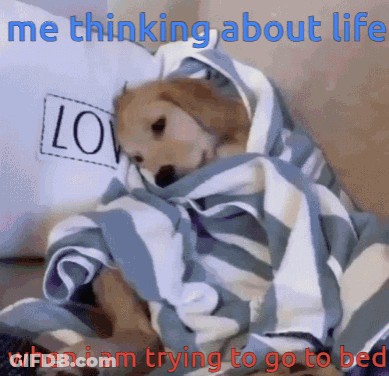 Dog Wrapped In Blanket Thinking About Life GIF