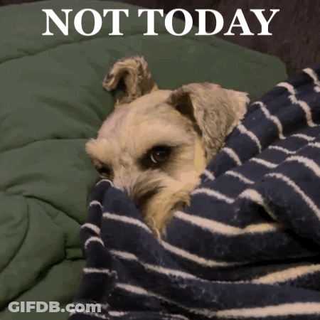 Dog Wrapped In Striped Blanket Saying Not Today GIF