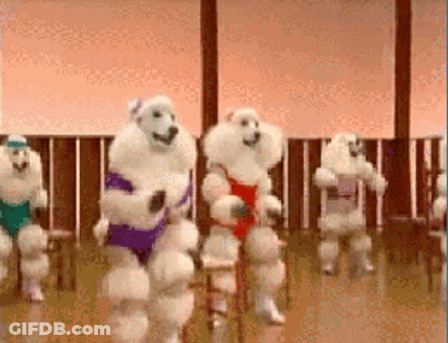 Dog Zumba Dancing GIF