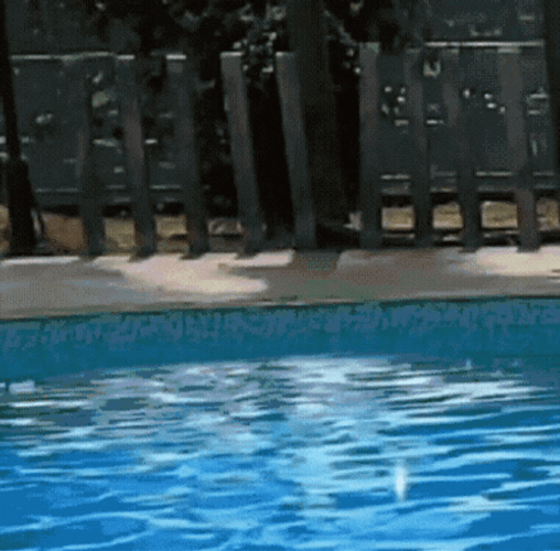 Doge All My Friends Are Toxic GIF