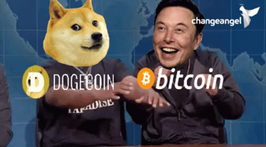 Doge And Elon Musk GIF