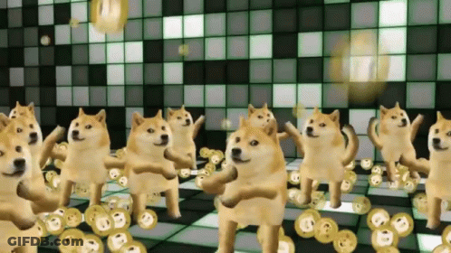 Doge Coin GIF