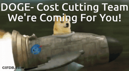Doge Cost Cutting Team We 'Re Coming For You ! GIF