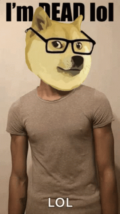 Doge Dog Lol GIF