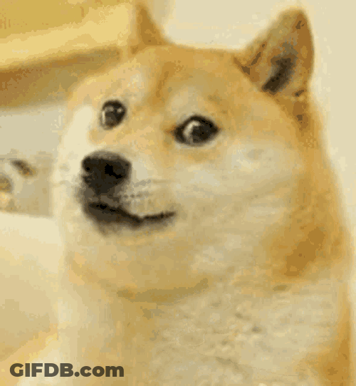 Doge Doge Coin GIF