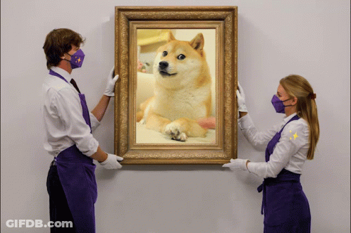 Doge Doge Nft GIF