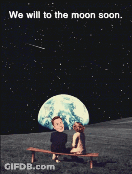 Doge Elon GIF