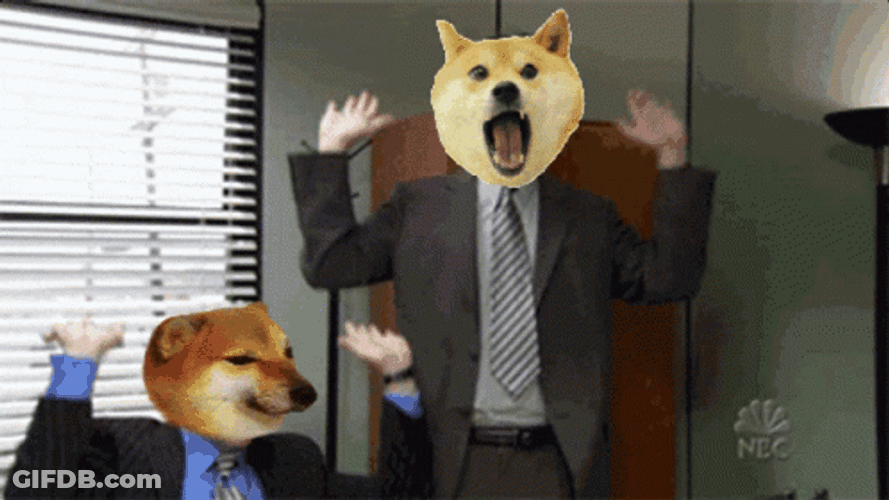 Doge Faces Celebrating Work Anniversary Meme GIF