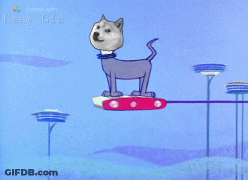 Doge Flying Through Air GIF