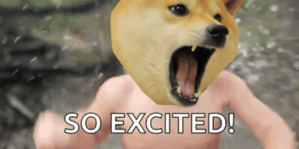 Doge Getting Excited GIF