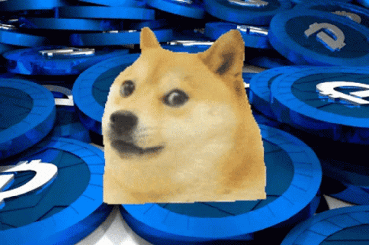 Doge In Blue Chips Background GIF