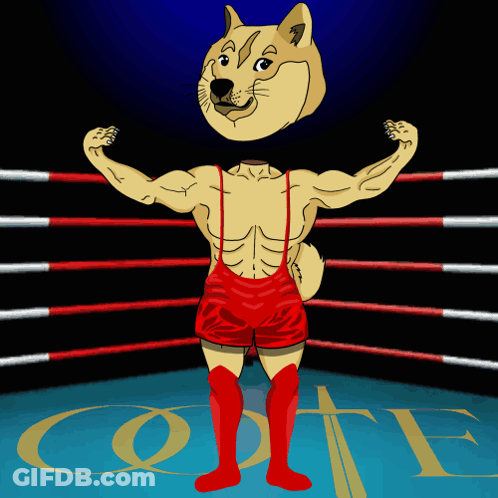 Doge In Boxing Ring Saying Cote GIF