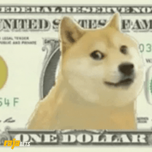 Doge In One Dollar GIF