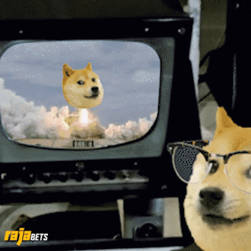 Doge In Suit GIF
