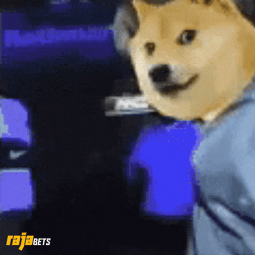 Doge In The Club GIF