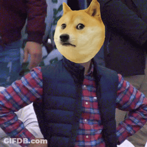 Doge Meme Disappointment Shiba Inu GIF