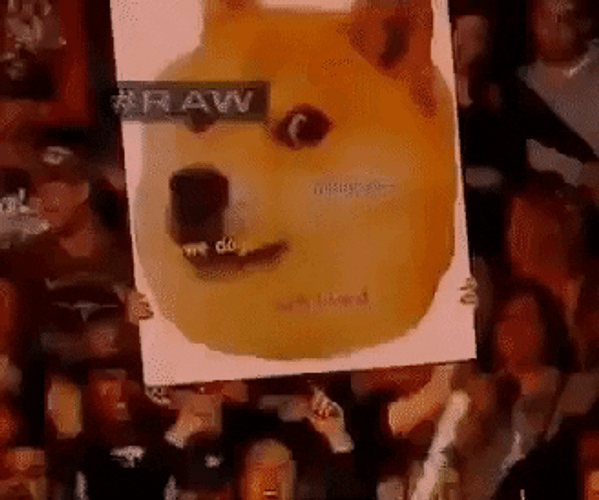 Doge Meme Poster GIF