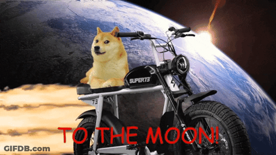 Doge Meme To The Moon GIF