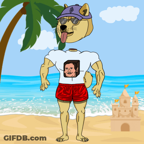 Doge Meme Vacation Time GIF