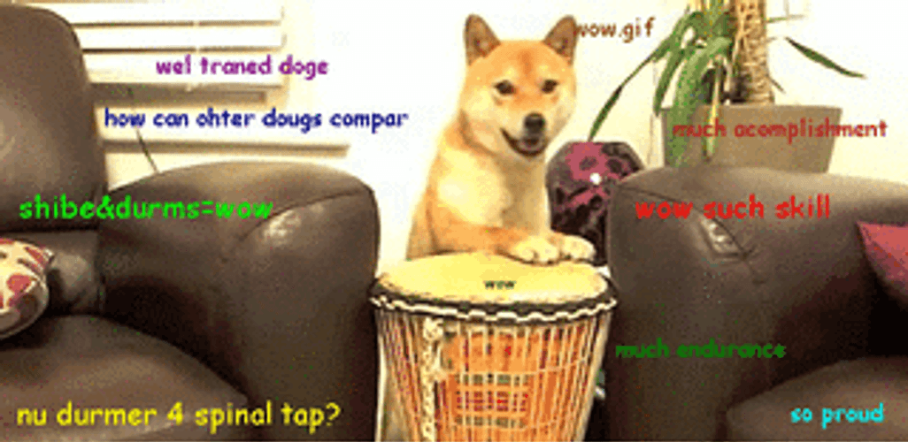 Doge Playing Drums GIF
