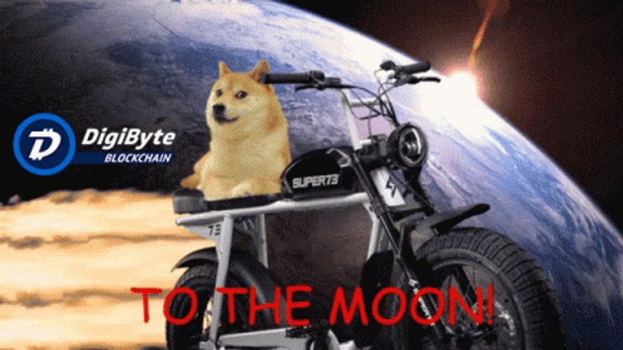 Doge Riding Motor Bike GIF