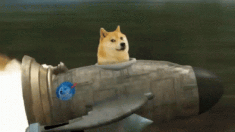 Doge Riding Spaceship GIF
