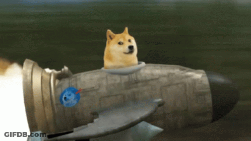 Doge Sitting On Rocket With Globe GIF