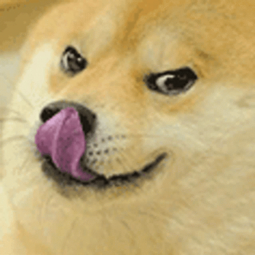 Doge Sticking Tongue Out GIF