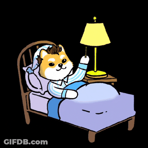 Doge Turning Off Lamp Night Night GIF