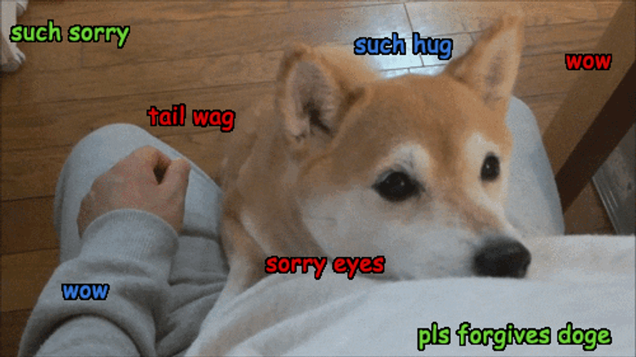 Doge Wants Cuddle GIF