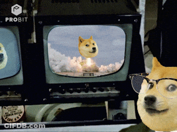 Doge Wearing Glasses And Hat Watching Rocket Launch GIF