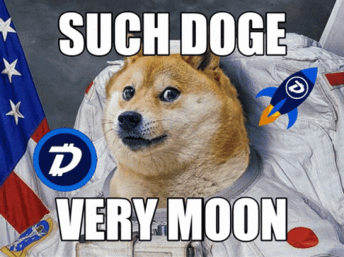 Doge Wearing Space Suit GIF