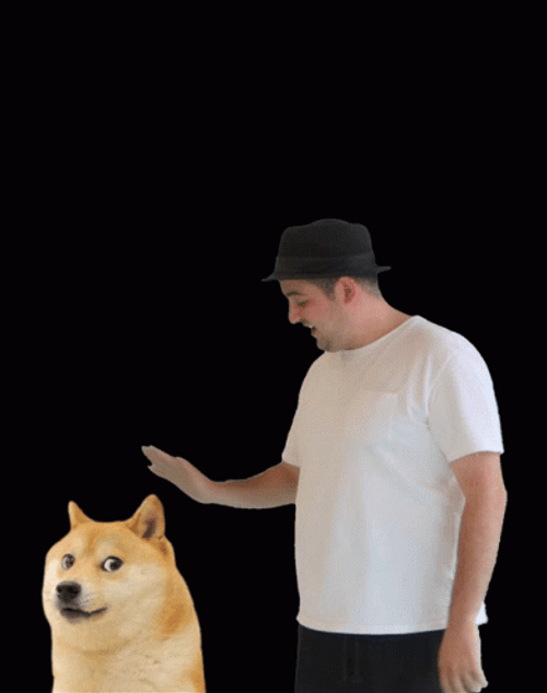 Doge With A Man GIF